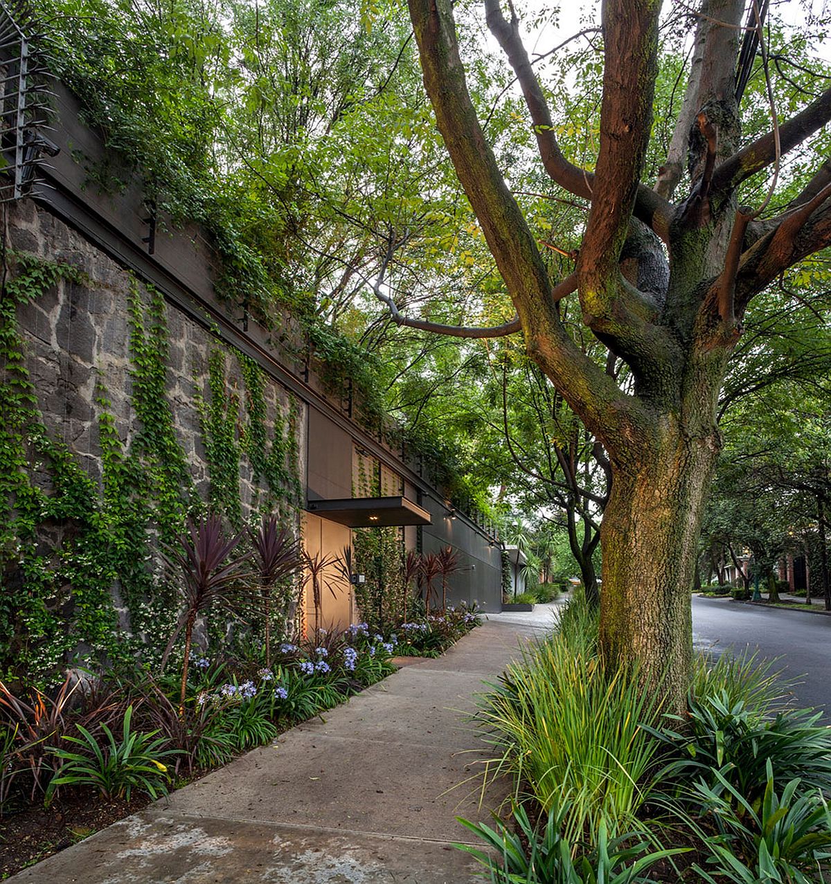 Creepers-and-flowering-plants-shape-a-beautiful-compund-wall.jpg