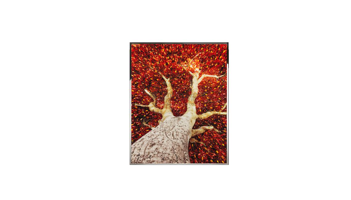 albero壁画