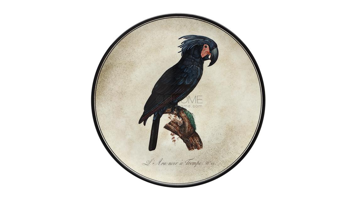 PIATTO DA MURO4盘子