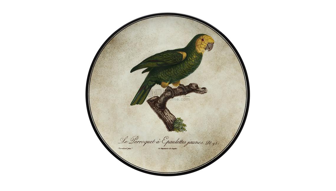 PIATTO DA MURO6盘子