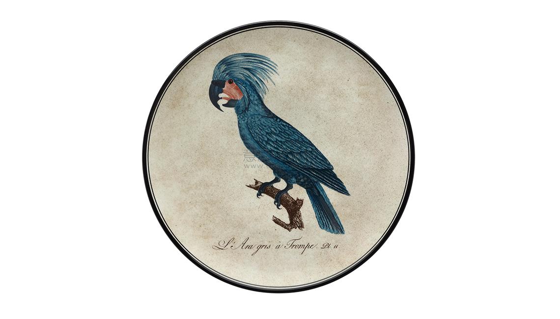 PIATTO DA MURO10盘子