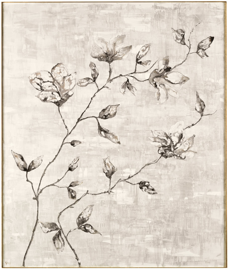 CANTORISPRING画