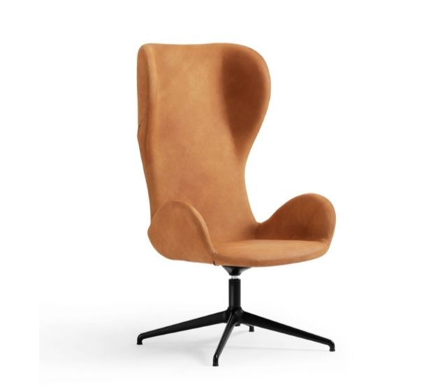 MIDJ INITALYDalia PE GX TS Lounge Armchair休闲椅