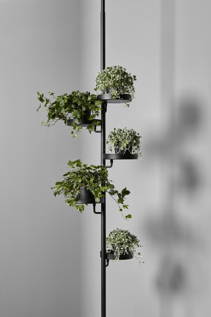 ANTONIO LUPICACTUS家具