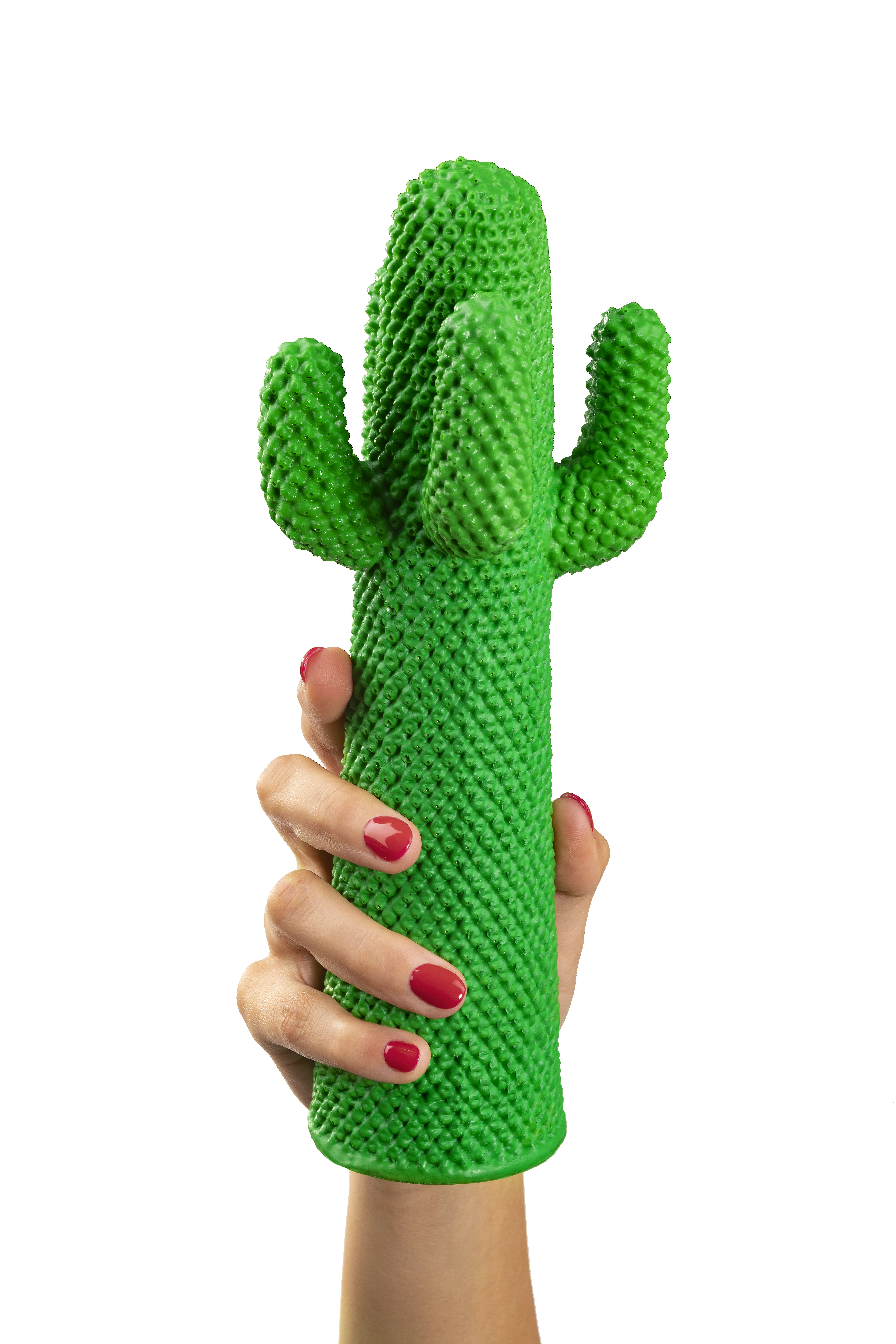 Guframini Cactus绿色迷你仙人掌